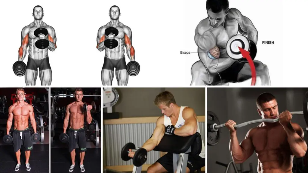 Bíceps mais fortes e definidos: Exercícios, cuidados e benefícios