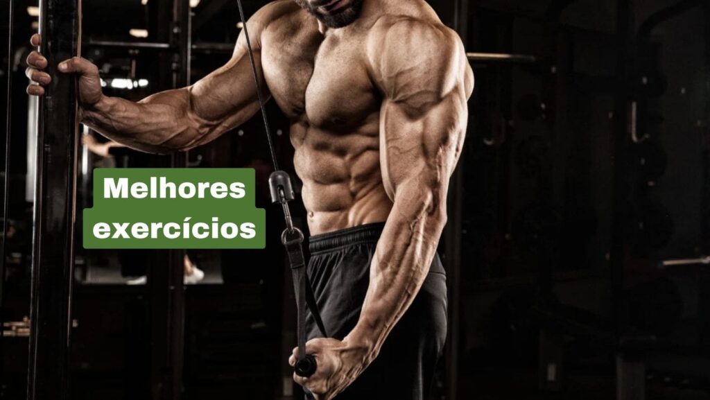 Qual a diferença entre hipertrofia e definição muscular