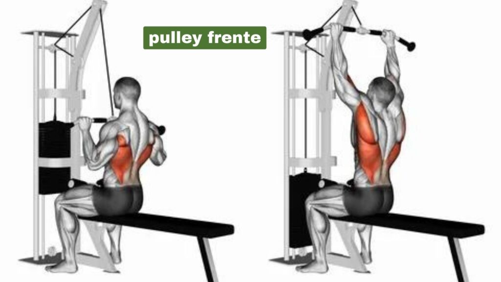 5 melhores exercícios de costas para iniciantes