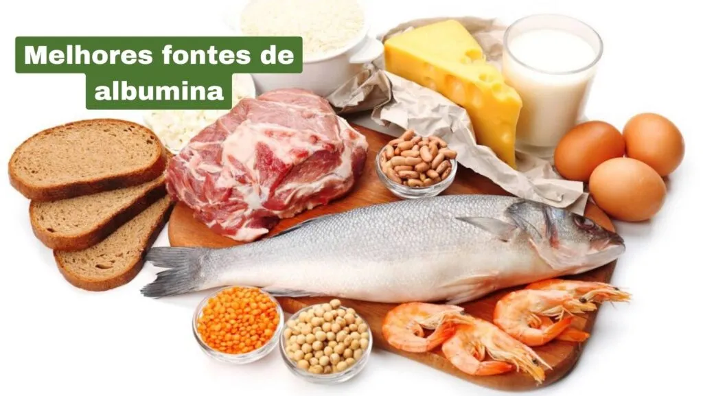 Albumina no desenvolvimento e na recuperação muscular