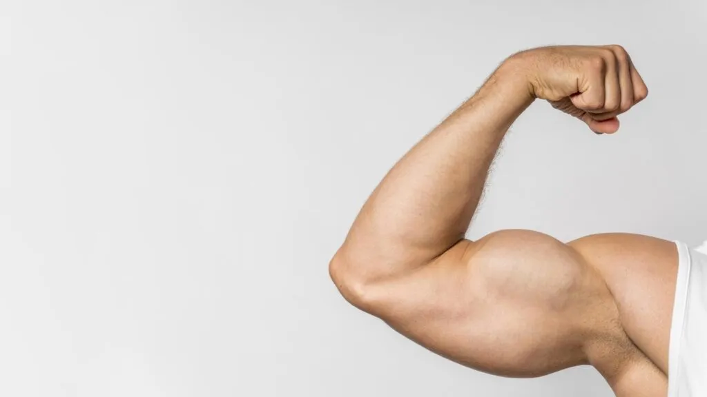 Bíceps mais fortes e definidos: Exercícios, cuidados e benefícios