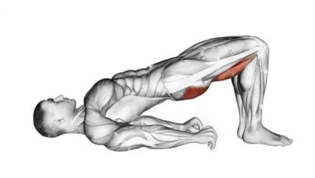 6 exercícios para glúteos mais definidos e fortes