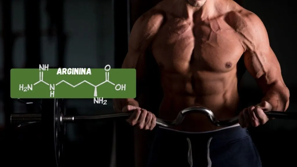 Creatina: tudo que precisa saber - Bio esporte