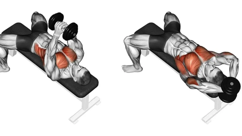 Peitoral: 6 melhores exercícios para peito